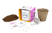 Echinacea - Grow Your Own Tea